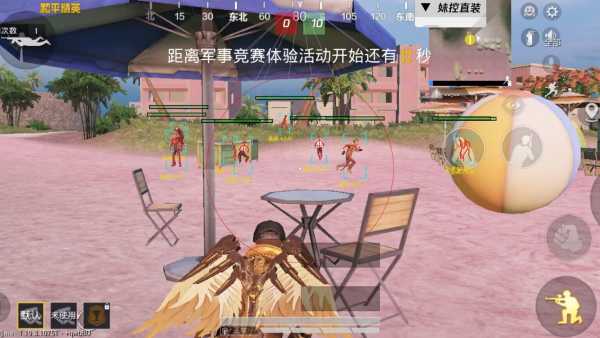 玩家社区对和平精英辅助软件的看法调查